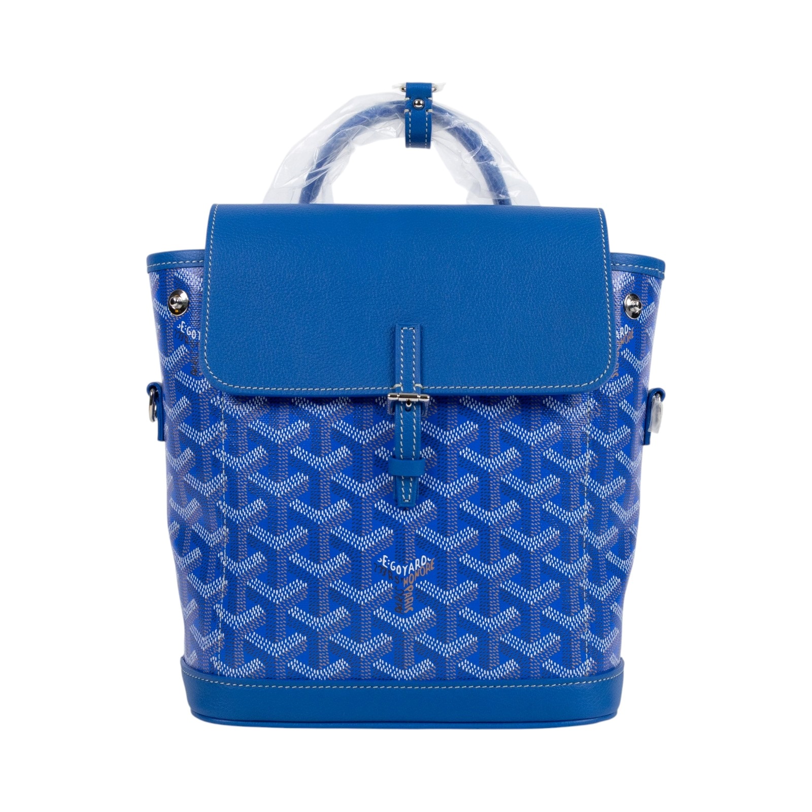 高雅德 GOYARD Alpin 迷你背包 ALPIN2MINTY 藍ALPIN後背包 防塵袋/背帶2