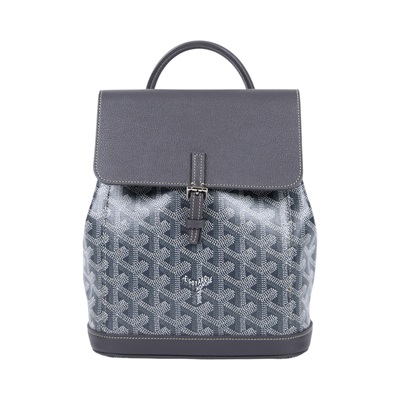 高雅德 GOYARD Alpin 迷你背包 ALPIN2MINTY 灰ALPIN MINI後背包 防塵袋/背帶2