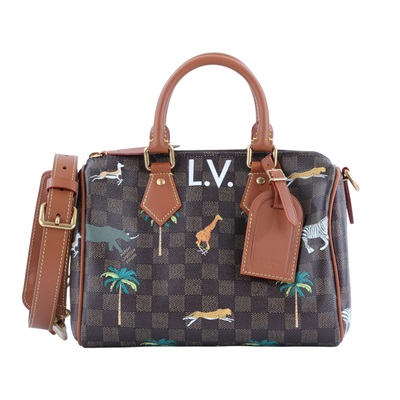 路易威登 LOUIS VUITTON Speedy 25 Bandoulière x The Darjeeling Limited 手提包 肩背包 N40857 晶片款  防塵袋/背帶/鎖組