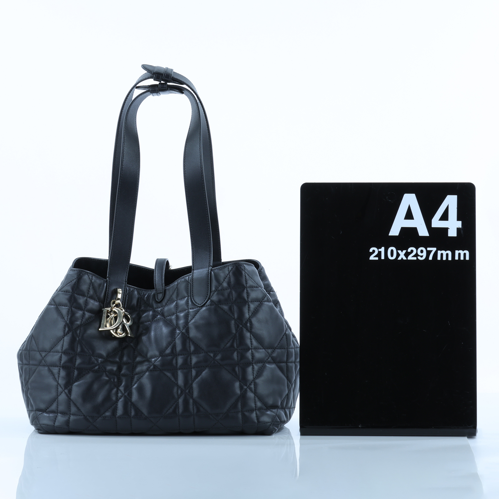 迪奧 CHRISTIAN DIOR Dior Toujours 中型 手提袋 小牛皮 M2821OSHJ 黑TOUJOURS 中號肩背包 內袋