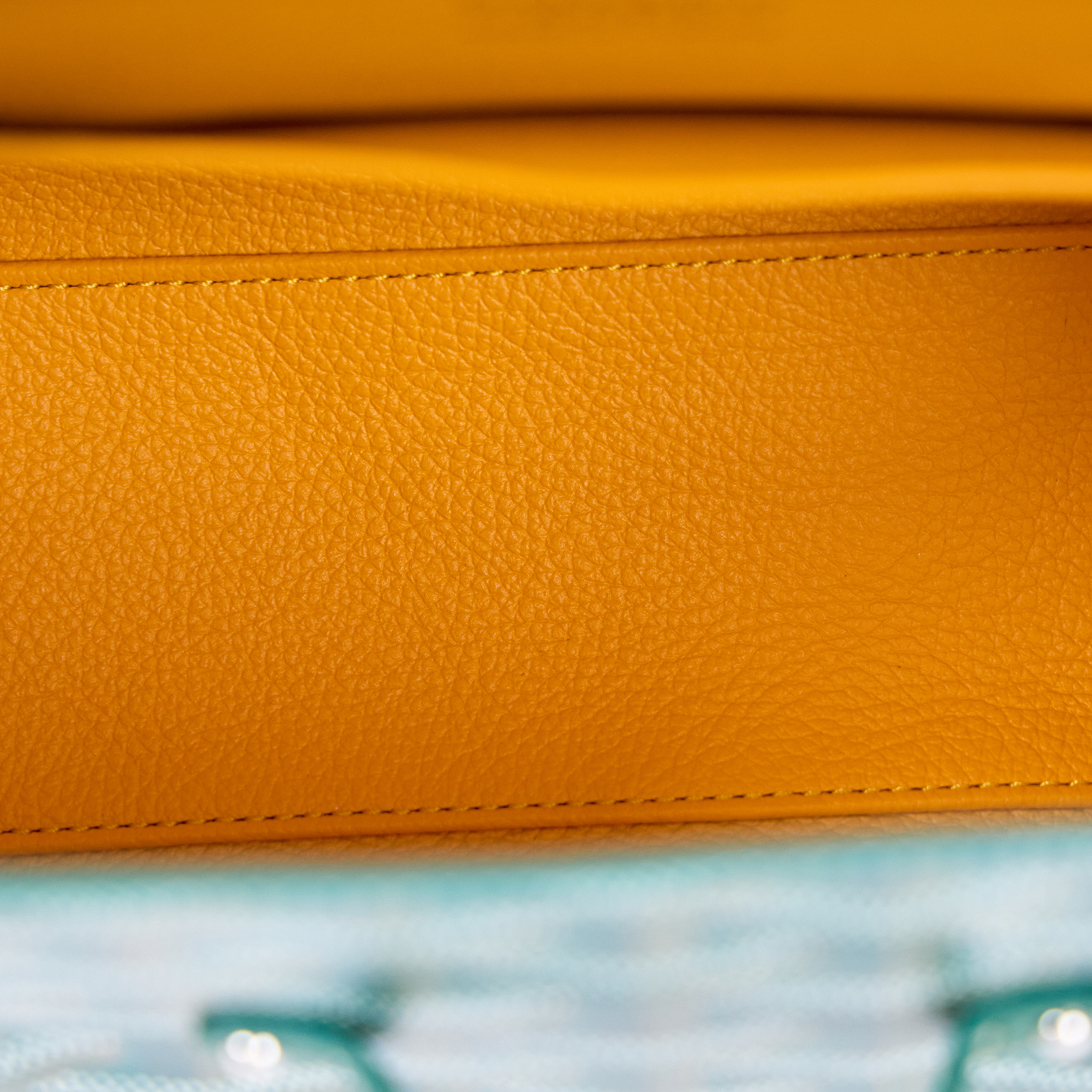 高雅德 GOYARD Saïgon Souple Mini Bag 肩背 手提包 SAIGONMINTY 綠色SAIGON MINI 防塵袋/背帶