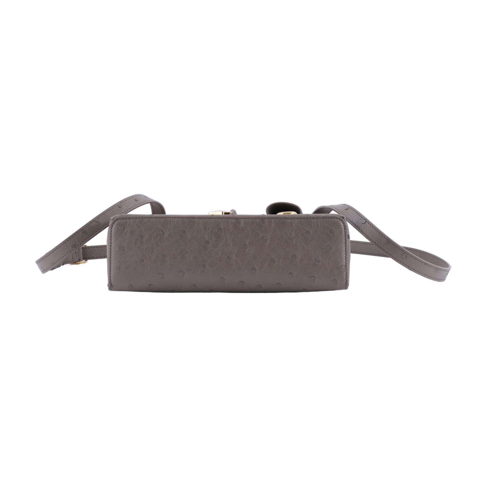 諾悠翩雅 LORO PIANA Extra Bag L23 鴕鳥皮 FAQ2180 灰鴕鳥EXTRA POCKET L23 背帶/防塵袋