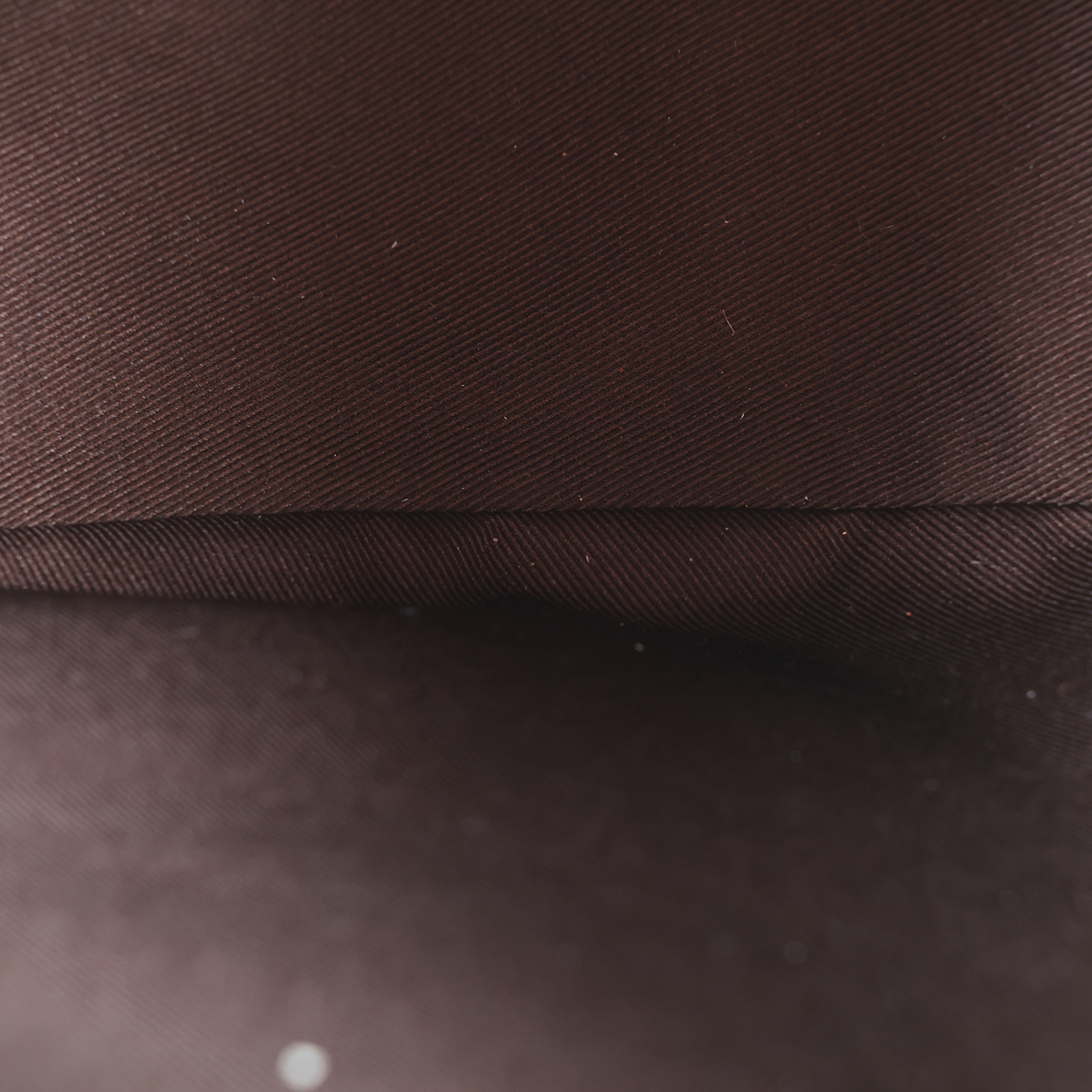 路易威登 LOUIS VUITTON Loop Hobo 經典帆布 半月包 單肩包 M46311 晶片款 原花LOOP HOBO 防塵袋/內袋