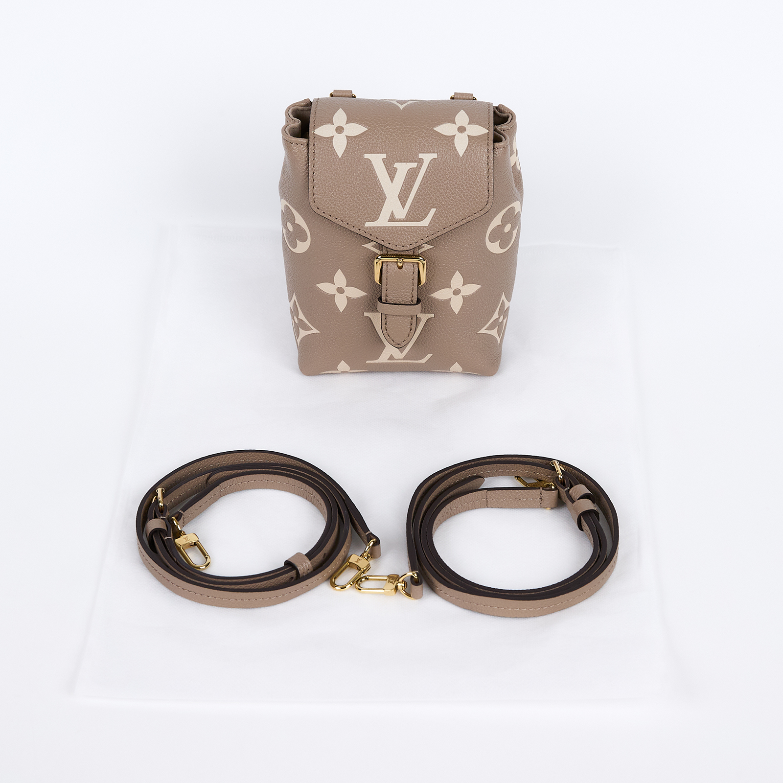 路易威登 LOUIS VUITTON Tiny Empreinte 後背包 雙肩包 Monogram 老花 M80738 晶片款  背帶2