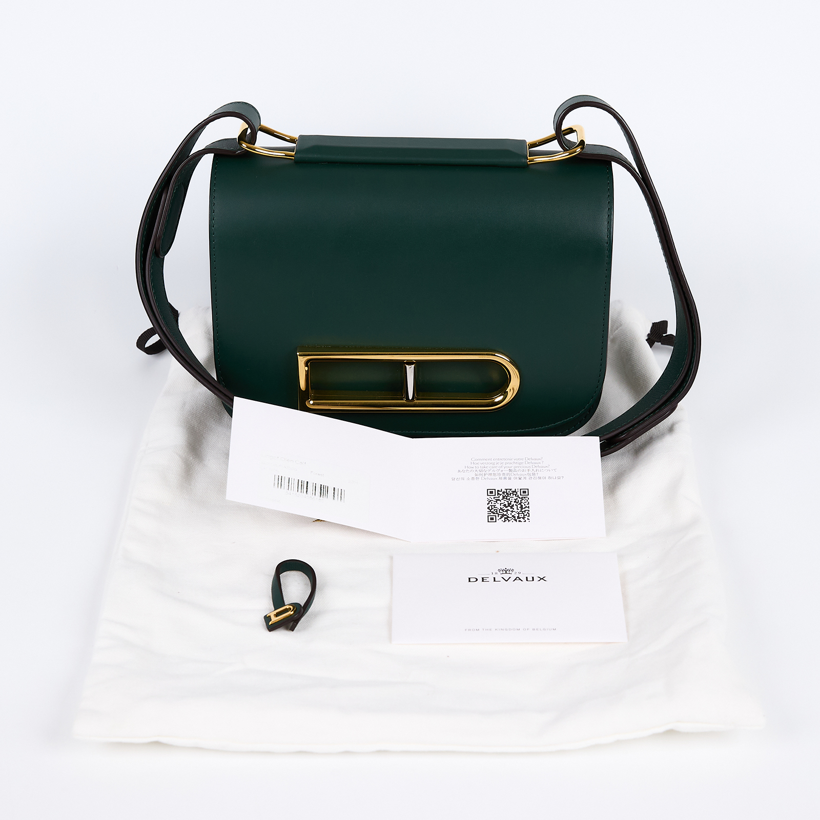 德爾沃 DELVAUX  Lingot 肩背包 AA0574BJF0AZDDG 綠色金扣Lingot in Olen Calf 防塵袋/未記載保書