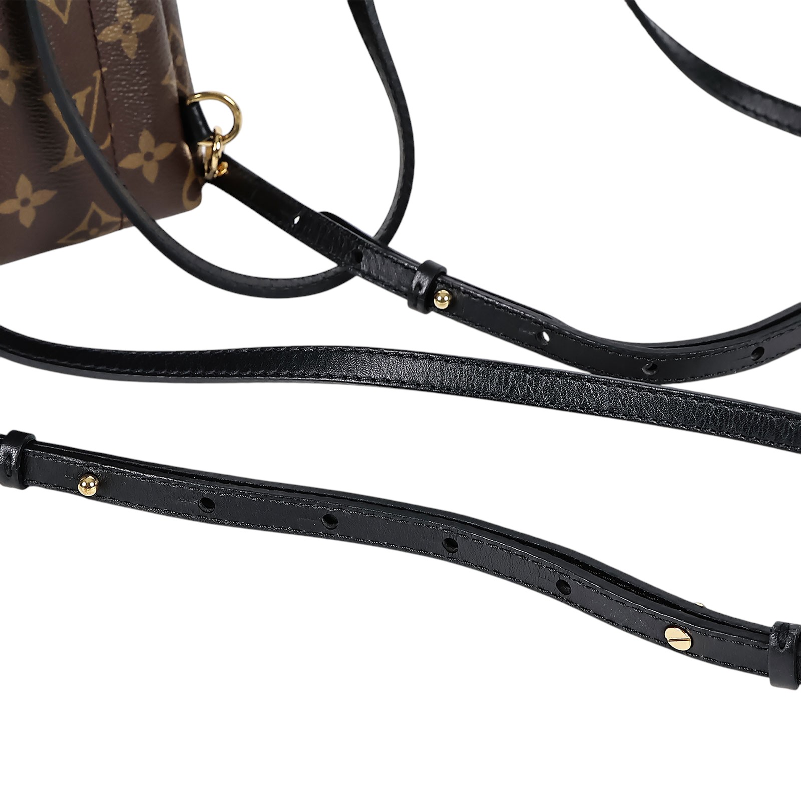 路易威登 LOUIS VUITTON Palm Springs Mini 迷你 後背包 M44873 晶片款  原廠盒子/防塵袋/背帶2
