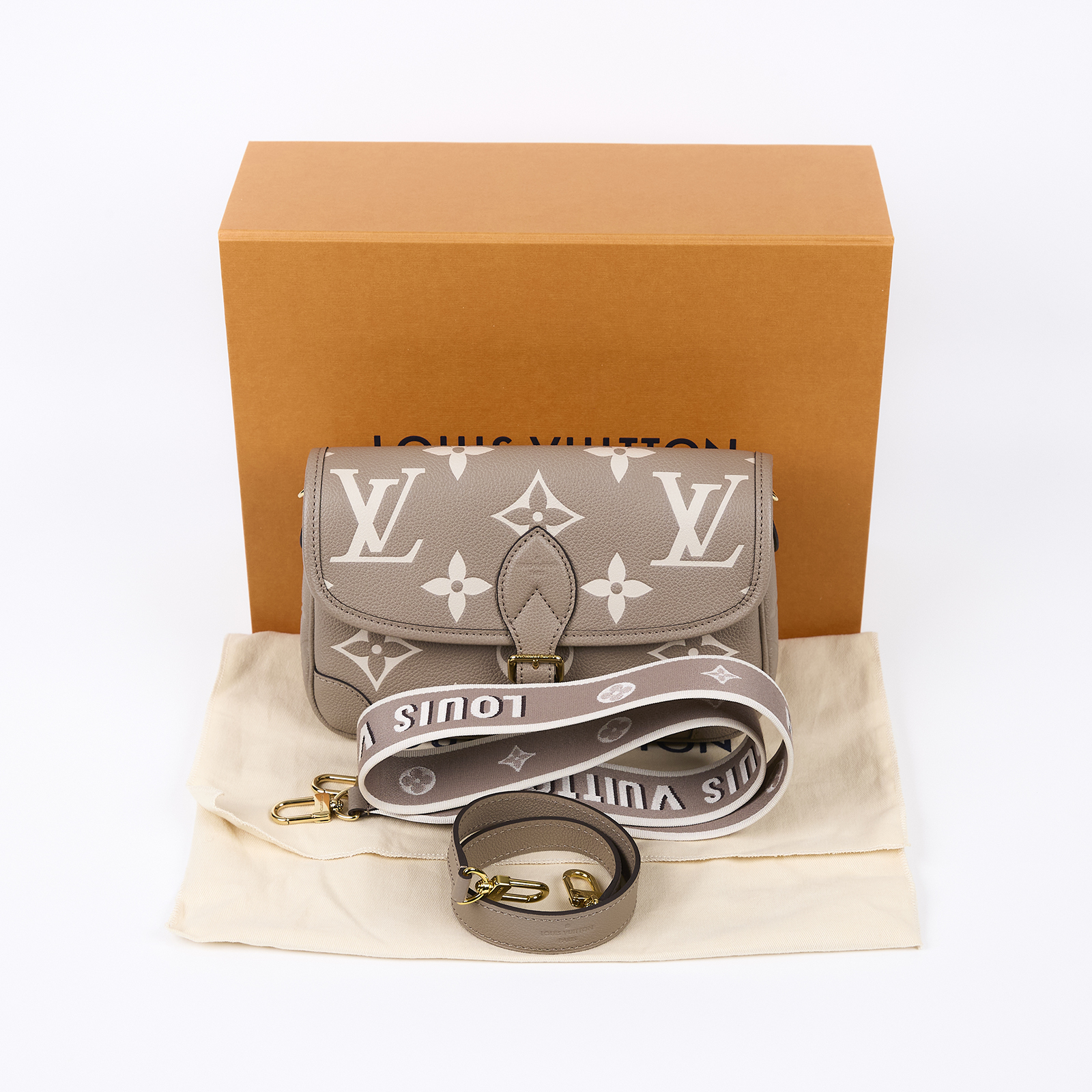 路易威登 LOUIS VUITTON Diane 腋下包法棍 單肩背包 斑鳩灰 奶油色 M46583 晶片款 斑鳩灰Diane肩背包 原廠盒子/防塵袋/背帶2