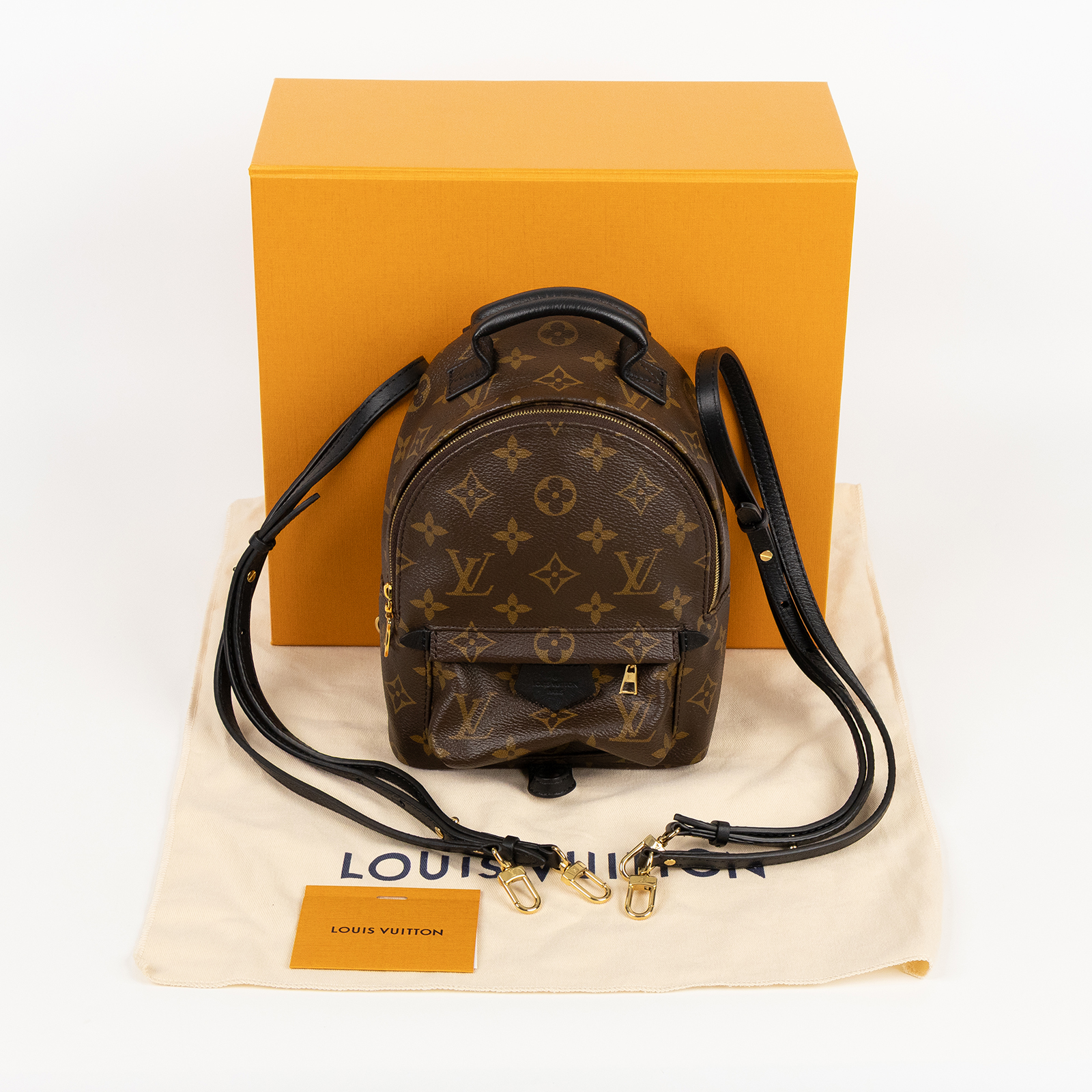 路易威登 LOUIS VUITTON Palm Springs Mini 迷你 後背包 M44873 晶片款  原廠盒子/防塵袋/背帶2
