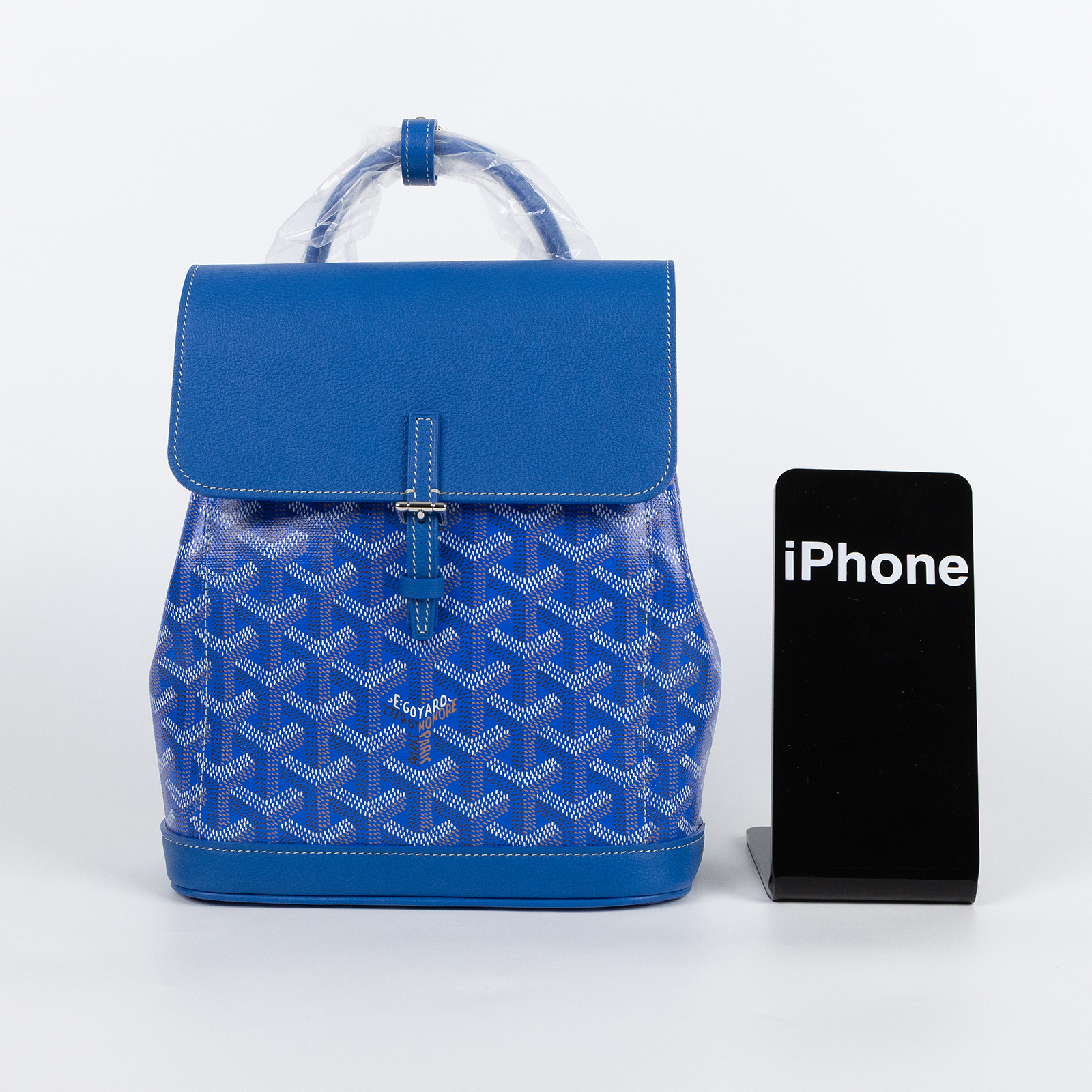 高雅德 GOYARD Alpin 迷你背包 ALPIN2MINTY 藍ALPIN後背包 防塵袋/背帶2