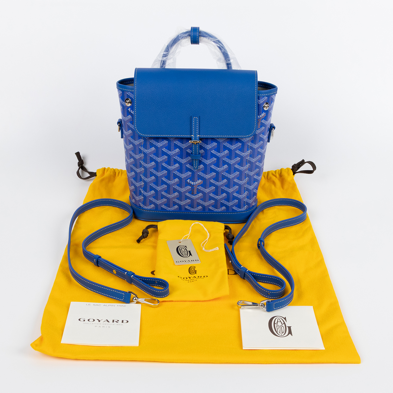 高雅德 GOYARD Alpin 迷你背包 ALPIN2MINTY 藍ALPIN後背包 防塵袋/背帶2
