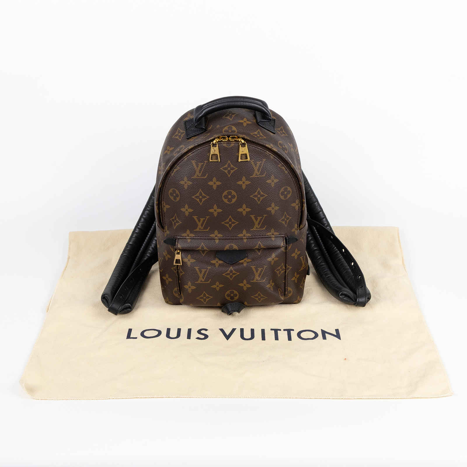 路易威登 LOUIS VUITTON Palm Springs PM 小型 牛皮鑲飾 拉鍊 後背包 M41560 晶片款  防塵袋