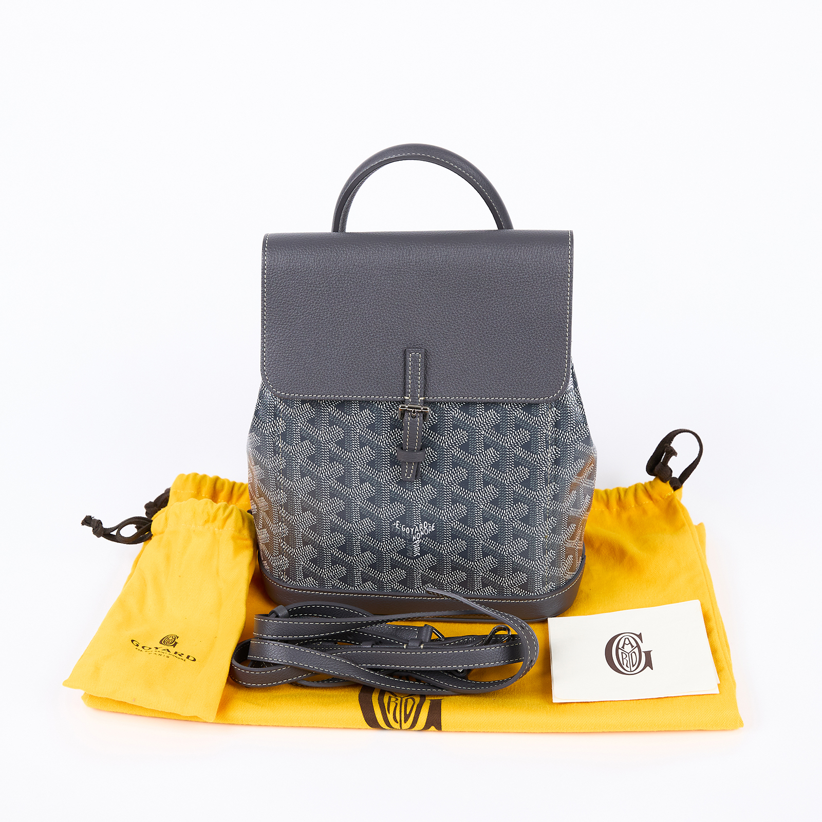 高雅德 GOYARD Alpin 迷你背包 ALPIN2MINTY 灰ALPIN MINI後背包 防塵袋/背帶2
