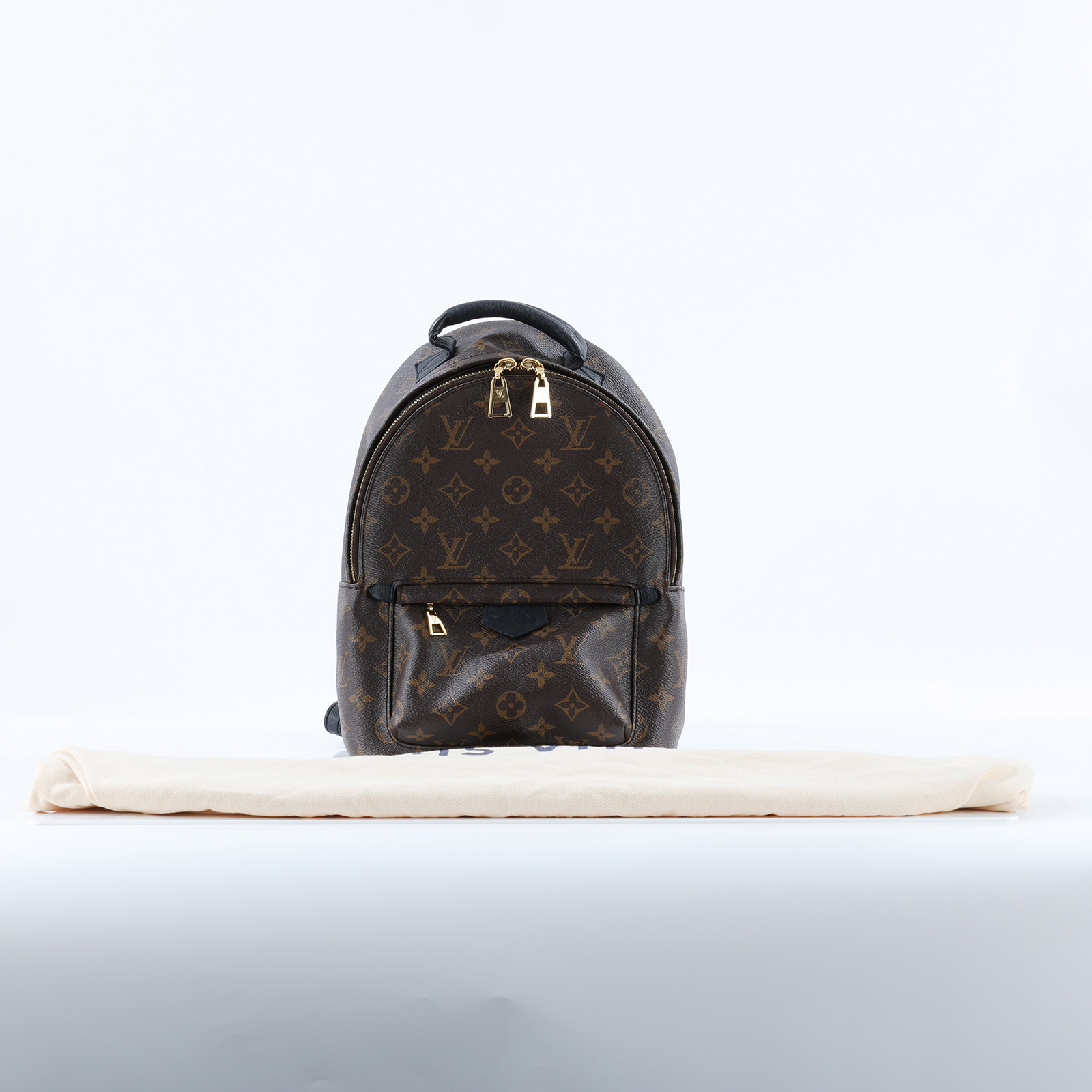 路易威登 LOUIS VUITTON Palm Springs PM 小型 牛皮鑲飾 拉鍊 後背包 M41560 原花PALM SPRINGS PM 防塵袋