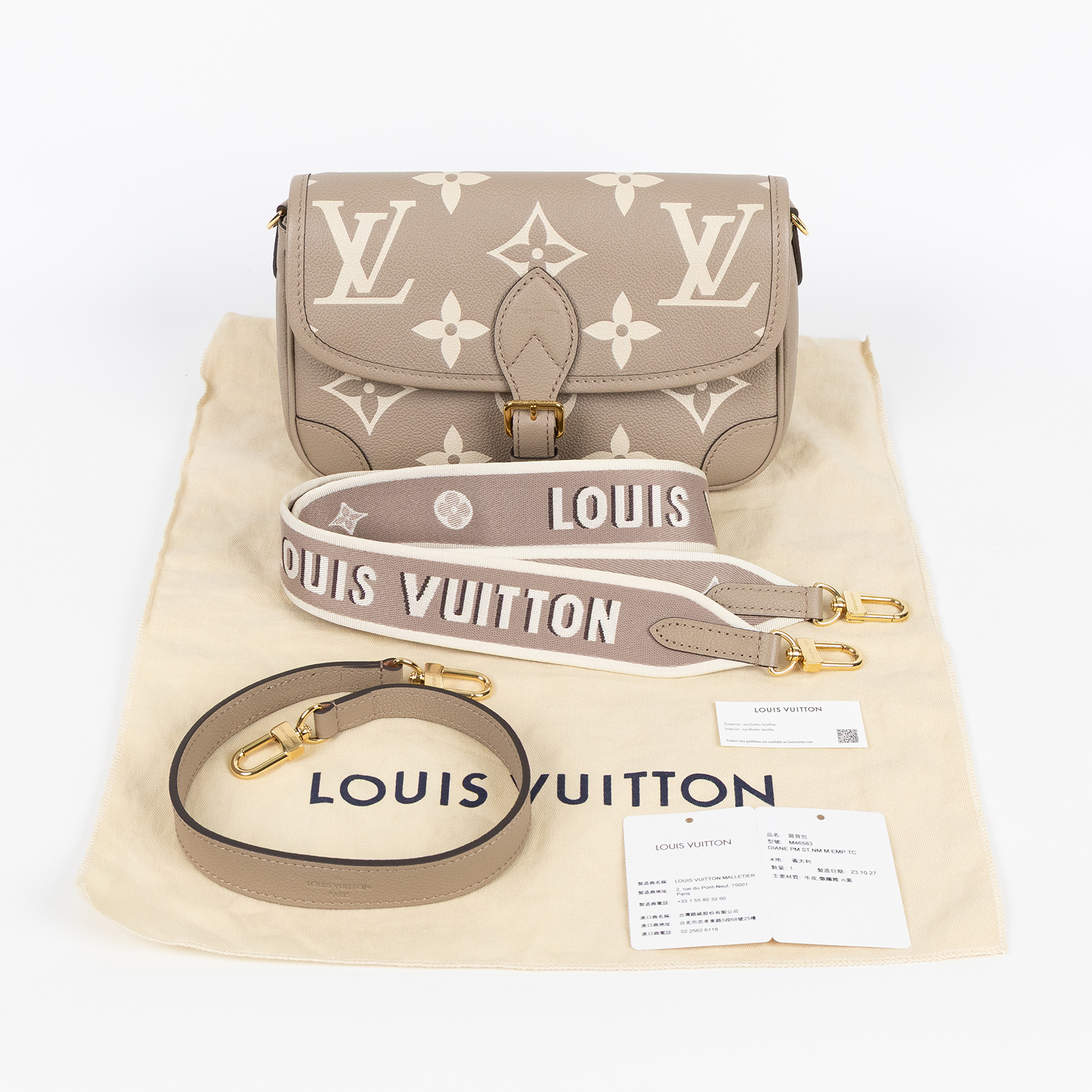 路易威登 LOUIS VUITTON Diane 腋下包法棍 單肩背包 斑鳩灰 奶油色 M46583 晶片款 斑鳩灰DIANE 防塵袋/背帶2