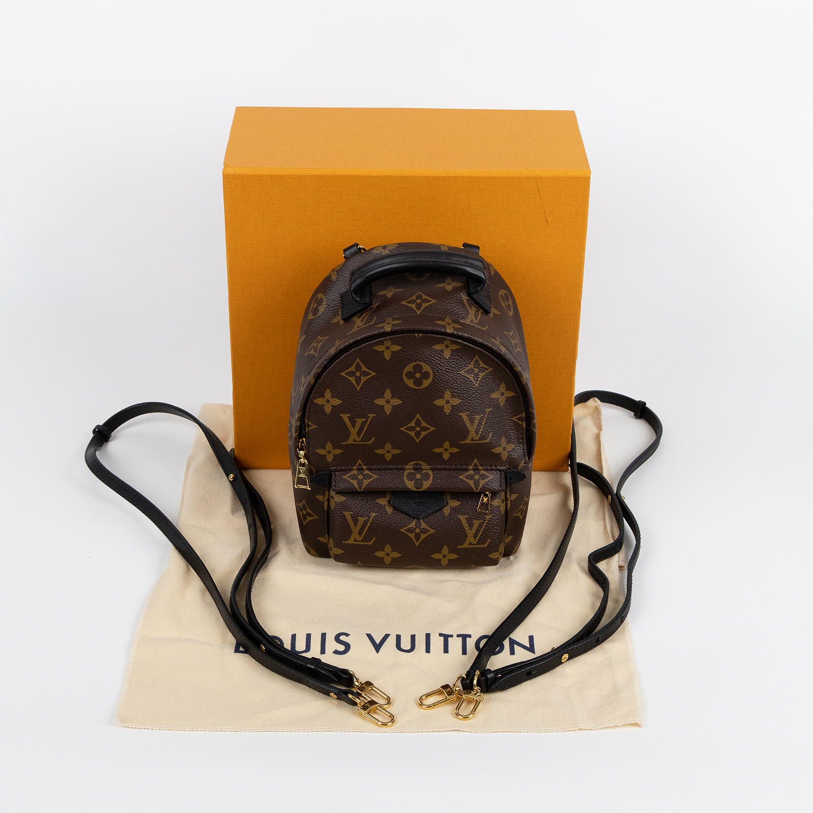 路易威登 LOUIS VUITTON Palm Springs Monogram帆布 Mini 拉鍊 後背包 M41562  原廠盒子/防塵袋/背帶2