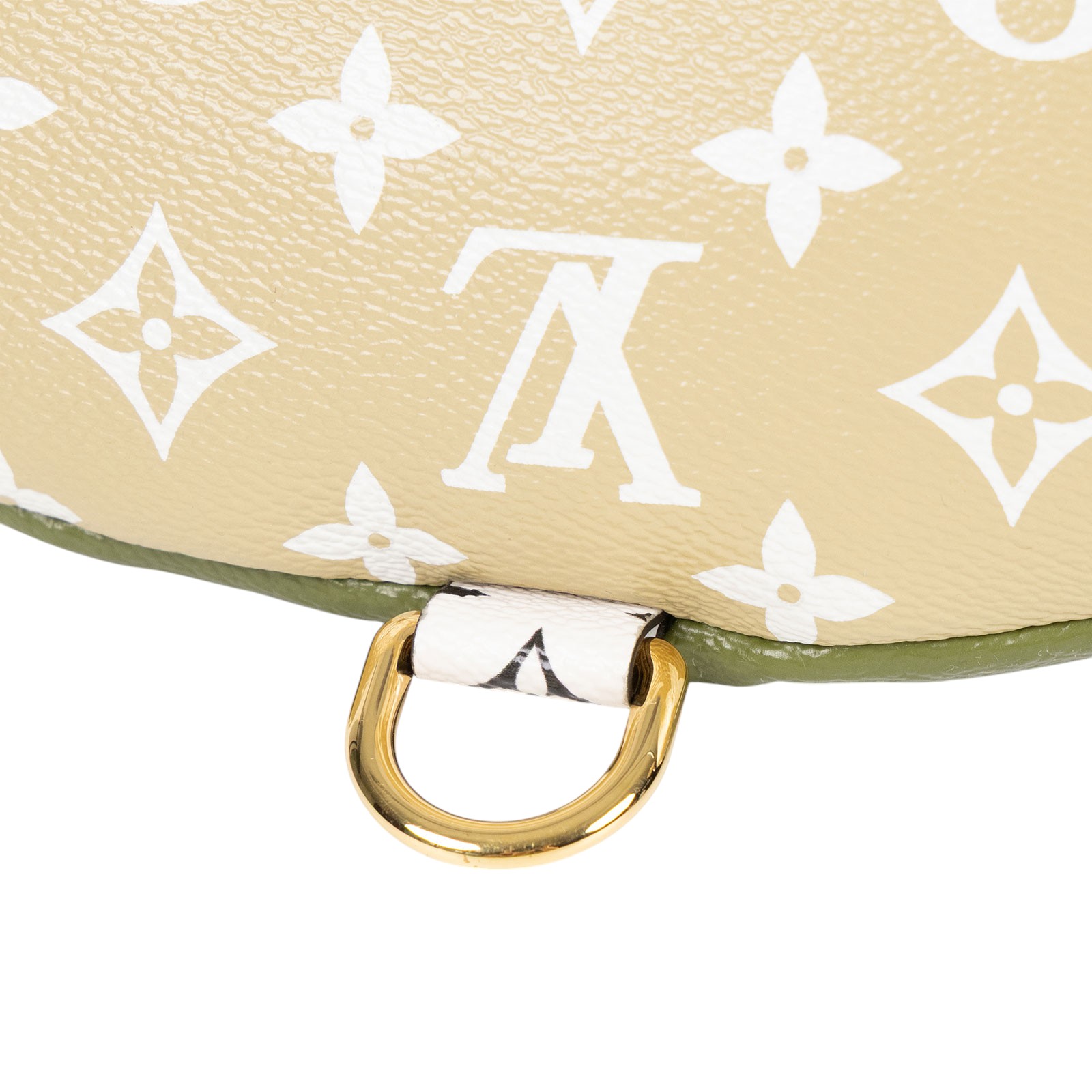 路易威登 LOUIS VUITTON Bumbag 腰包 2019 秀款 M44611 綠大原花GIANT 防塵袋