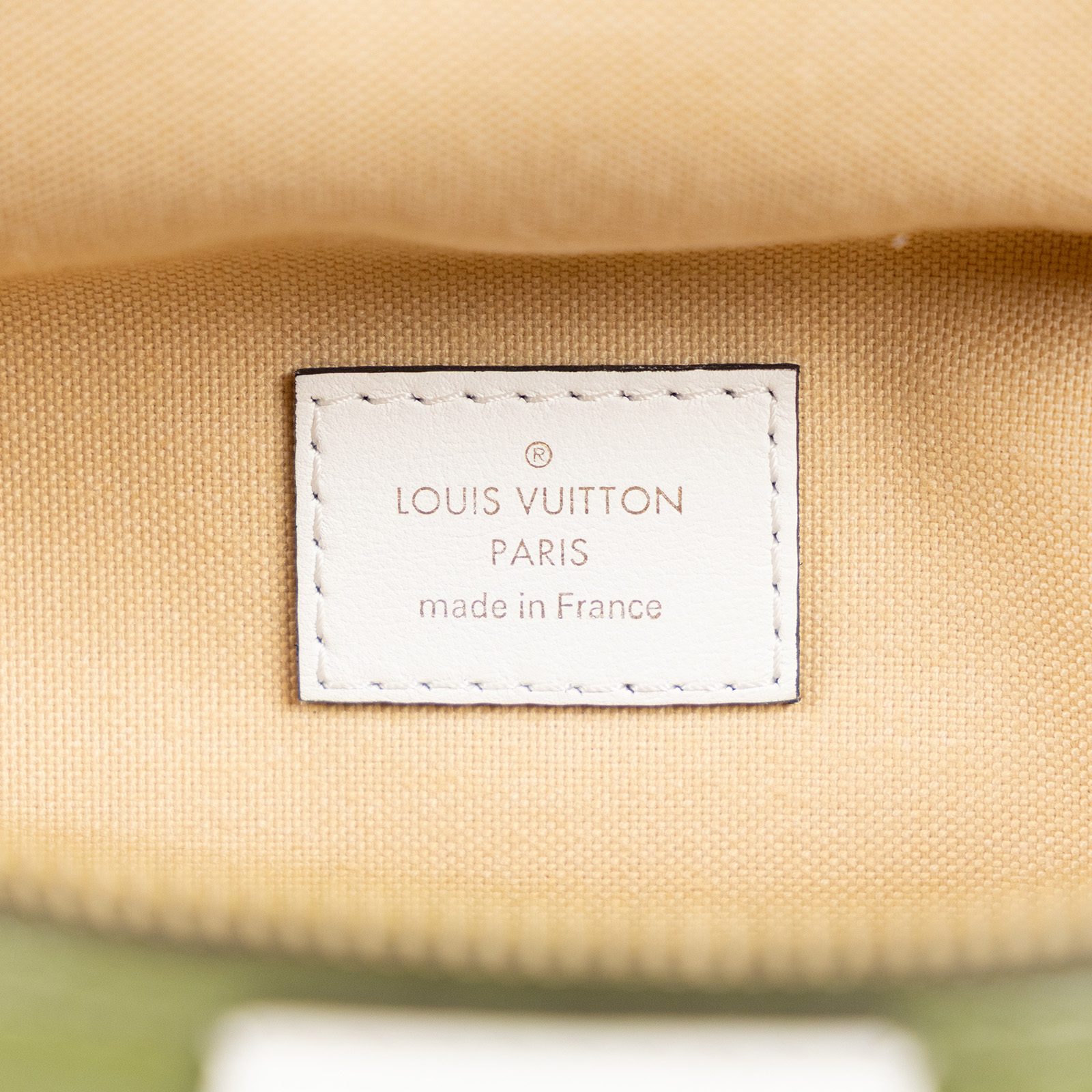 路易威登 LOUIS VUITTON Bumbag 腰包 2019 秀款 M44611 綠大原花GIANT 防塵袋