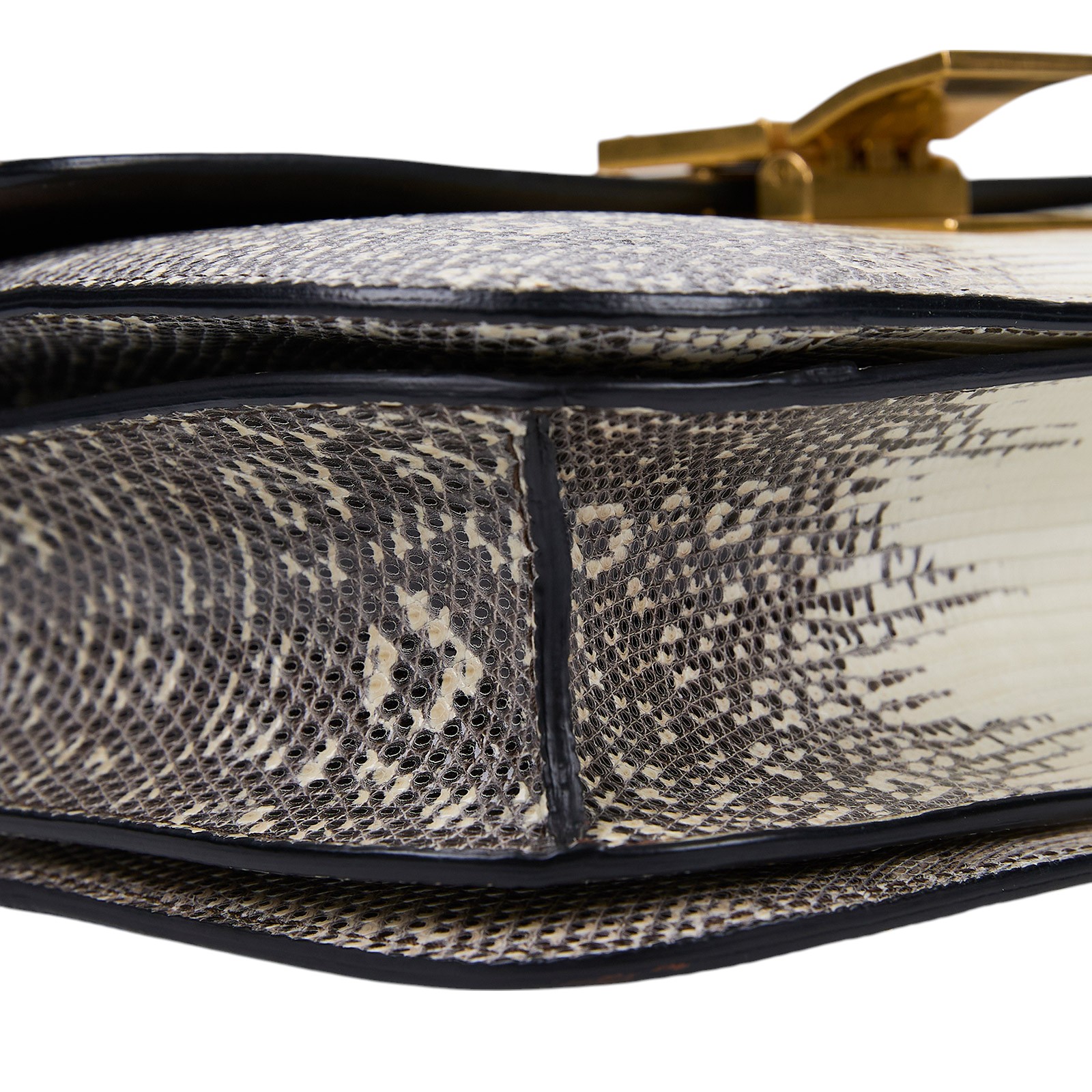 思琳 CELINE 蜥蝪皮 Classic 肩背 手袋 中型 189174TLC  原廠盒子/防塵袋/購買證明/瀕臨絕種野生動植物國際貿易公約