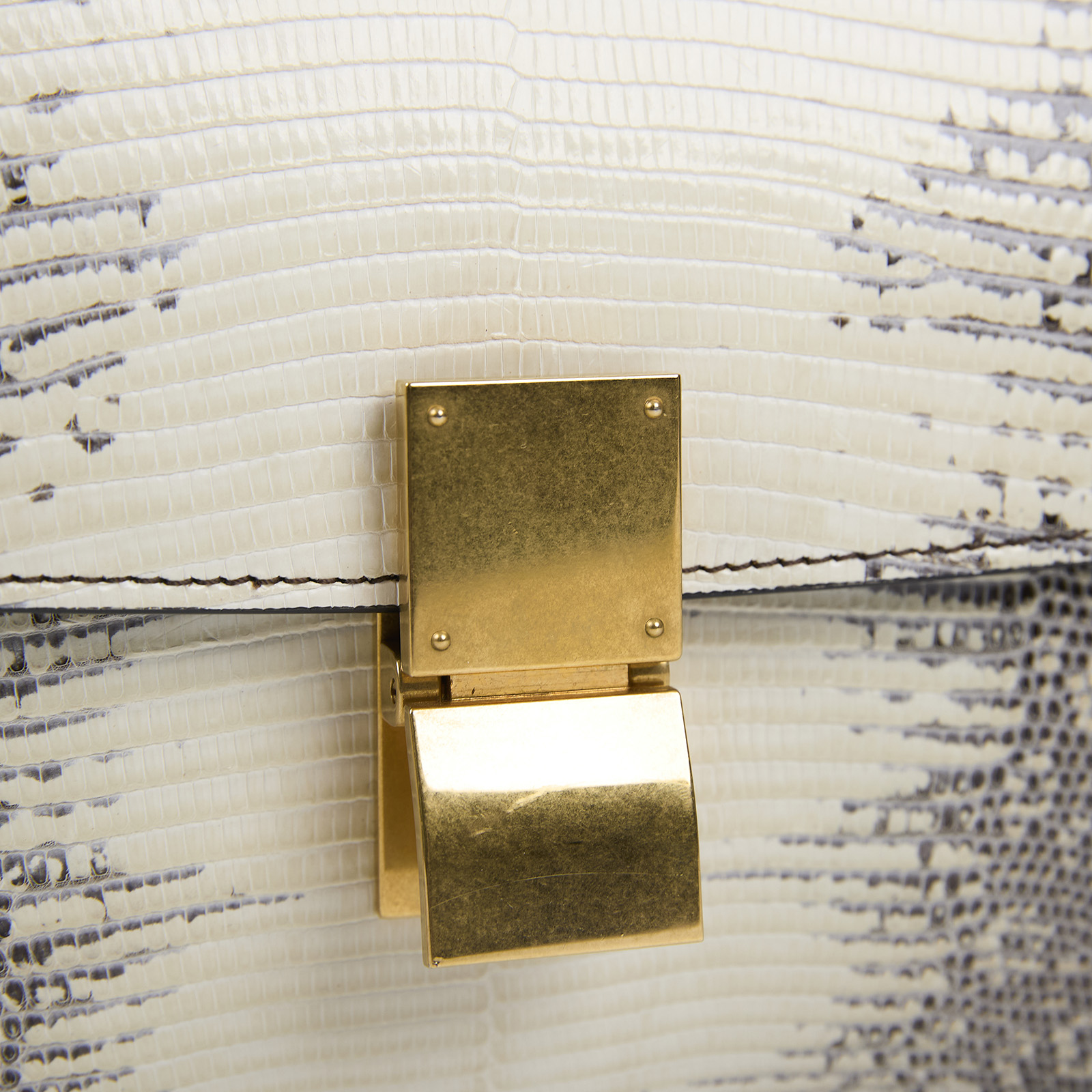 思琳 CELINE 蜥蝪皮 Classic 肩背 手袋 中型 189174TLC  原廠盒子/防塵袋/購買證明/瀕臨絕種野生動植物國際貿易公約