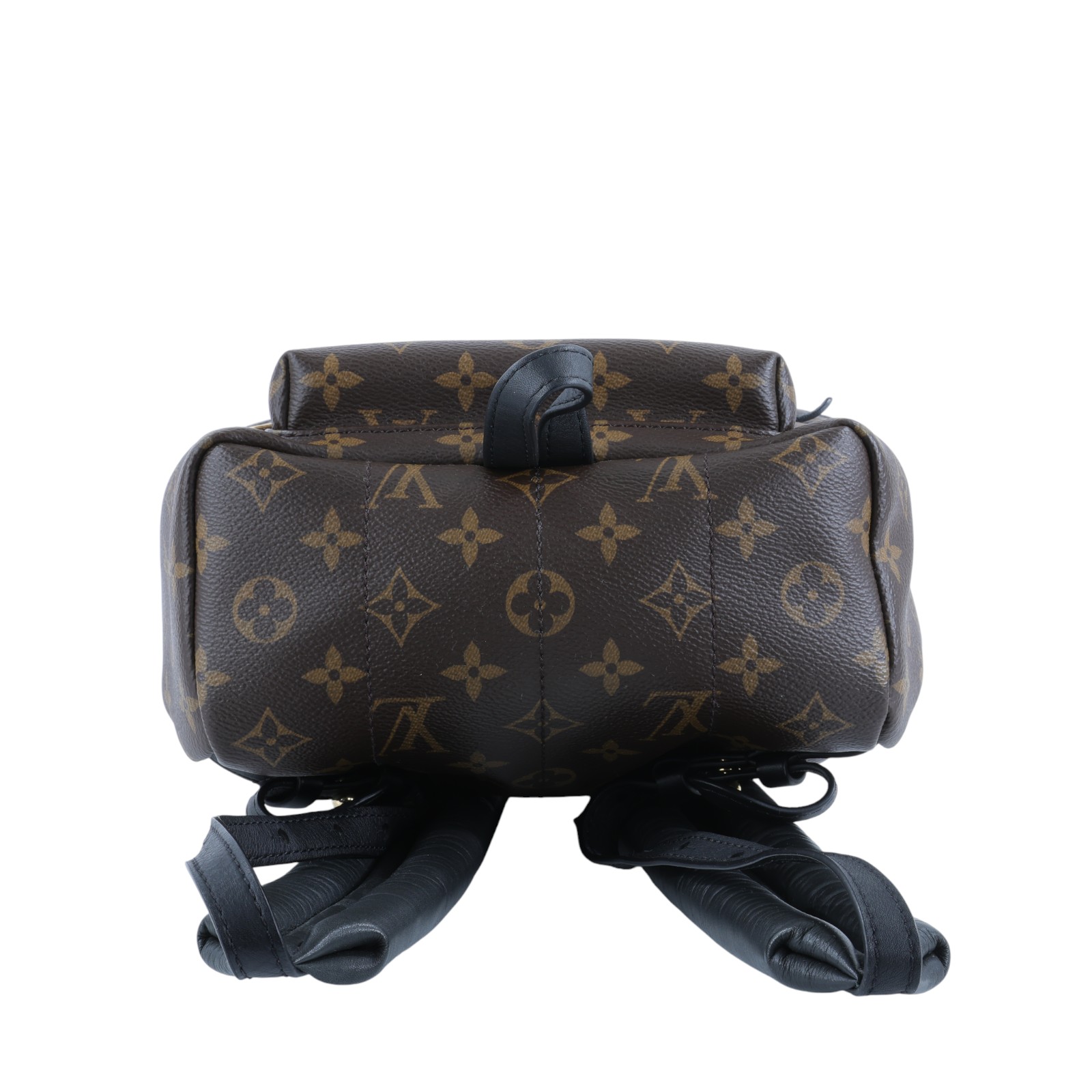路易威登 LOUIS VUITTON Palm Springs 拉鍊後背包 PM 經典帆布 M44871 原花PALM SPRINGS PM後背包 防塵袋