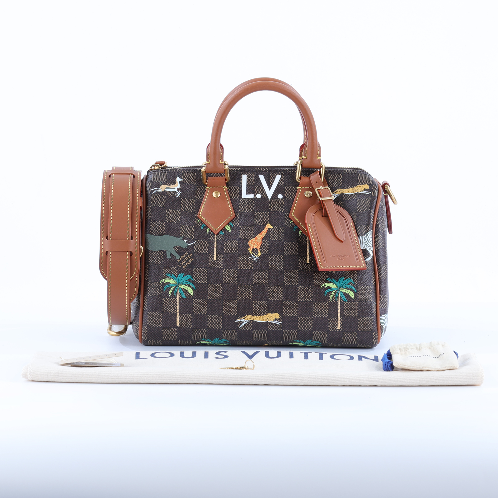 路易威登 LOUIS VUITTON Speedy 25 Bandoulière x The Darjeeling Limited 手提包 肩背包 N40857 晶片款  防塵袋/背帶/鎖組