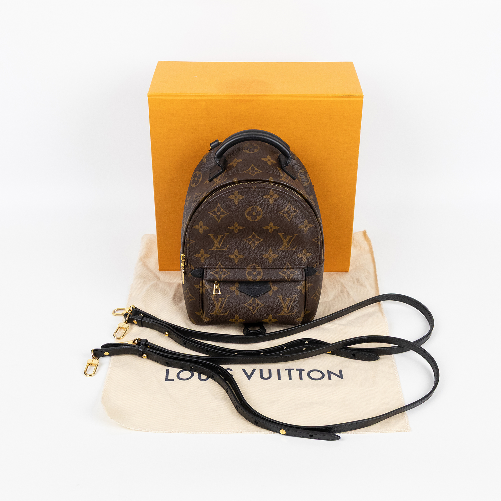 路易威登 LOUIS VUITTON Palm Springs Mini 迷你 後背包 M44873  原廠盒子/防塵袋/背帶2